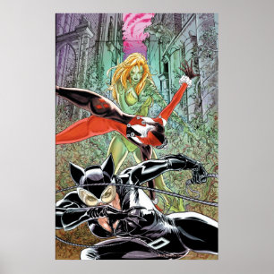 Poster Gotham City Sirens Cv11