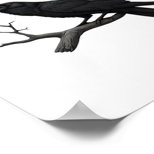 Poster Gothic Crow Funny F-Caw-F Humor Essential Creative (Coin)