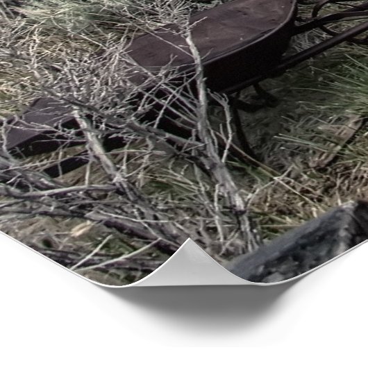 Poster GOTHIC LODGE and SCHOOL - BANNACK MONTANA (Coin)