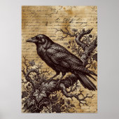 Poster Gothic Raven Vintage Script Dark Academia (Devant)