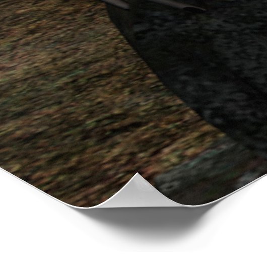 Poster Gothique Fae Series TRINITY Imaginaire Art (Coin)