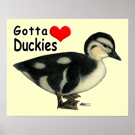 Poster Gotta Love Duckies (Devant)