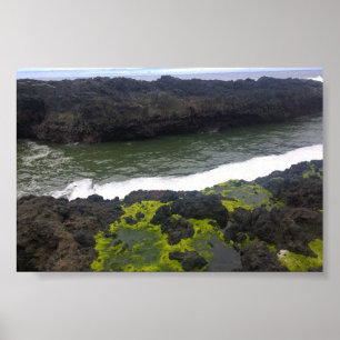 Poster Gouffre de Cook, Cape Perpetua, OR