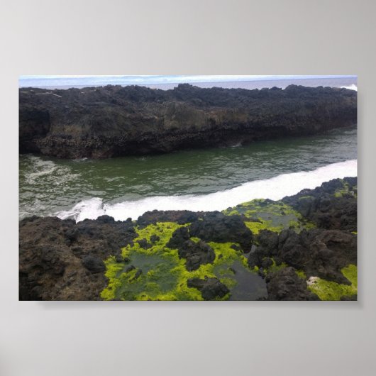 Poster Gouffre de Cook, Cape Perpetua, OR (Devant)