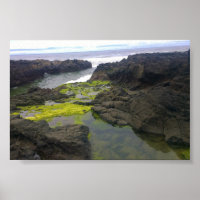 Gouffre de Cook, Cape Perpetua, OR