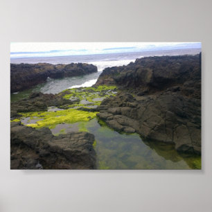 Poster Gouffre de Cook, Cape Perpetua, OR