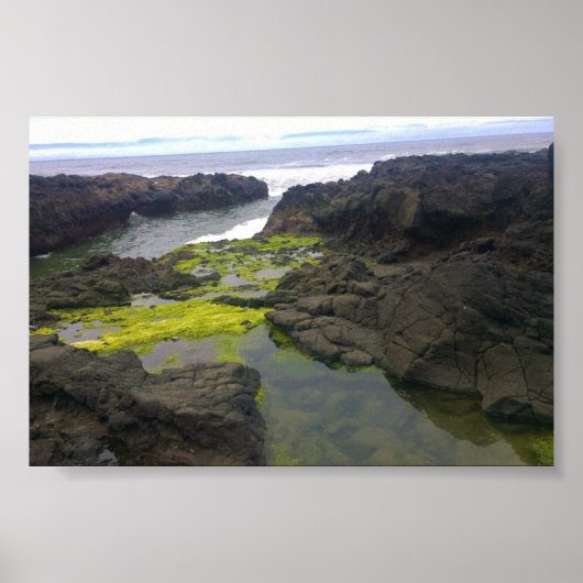 Poster Gouffre de Cook, Cape Perpetua, OR (Devant)