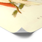 Poster Gould - Le portefeuille Cockatoo de Leadbetter (Coin)