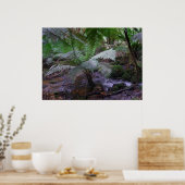 Poster Goulet de fougères (Cuisine)