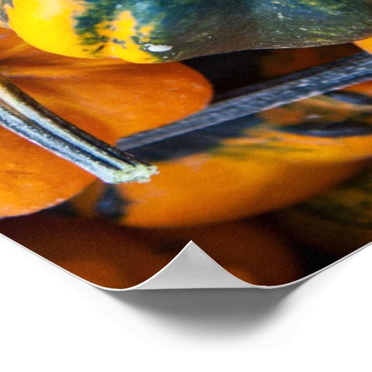 Poster Gourdes (Coin)