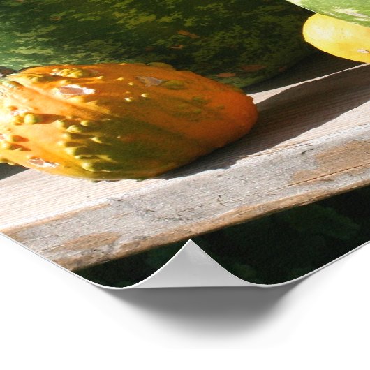 Poster Gourdes géantes Automne (Coin)