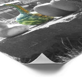 Poster Gourds Citrouille Cornstalks Couleur partielle (Coin)