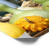 Poster Gourds Corn Stalks Farm Stand Automne (Coin)