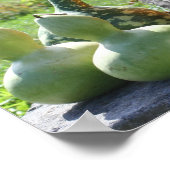 Poster Gourds Et Citrouilles Fall Ajouter Votre Photo (Coin)