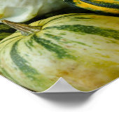 Poster Gourds Galore (Coin)