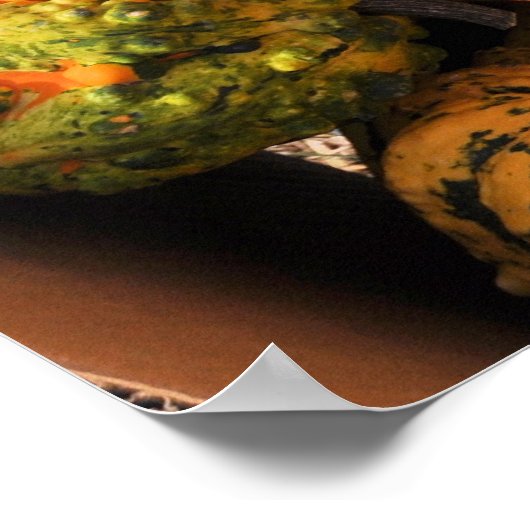 Poster Gourds Galore ! -affiche (Coin)