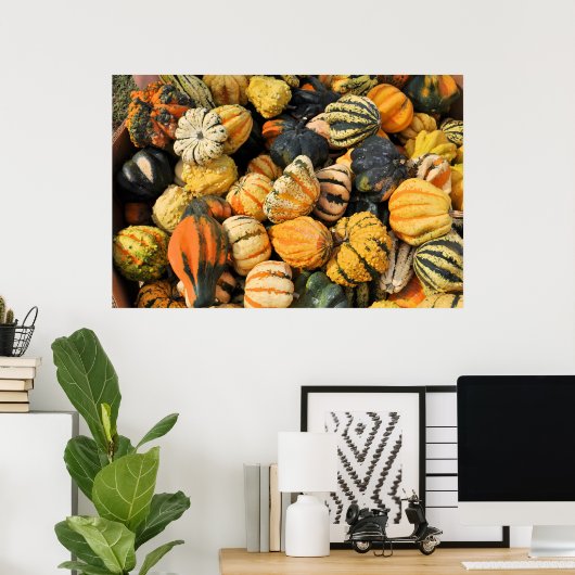 Poster Gourds Galore ! -affiche (Bureau à domicile)