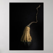 Poster Gourds No 12 Color Version (Devant)