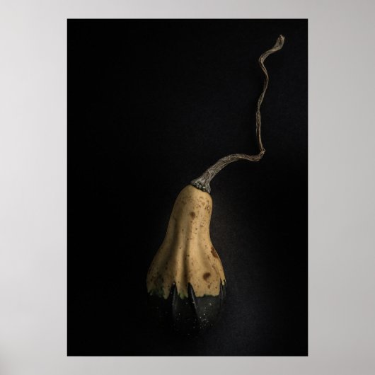 Poster Gourds No 12 Color Version (Devant)