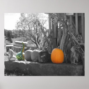 Poster Gourds Pumpkins Cornstalks Partial Color