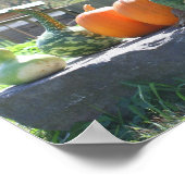 Poster Gourmets Et Ferme Citrouille Automne (Coin)