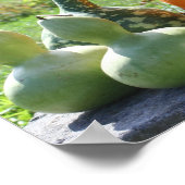 Poster Gourmets Et Ferme Citrouille Stand 2 Automne (Coin)