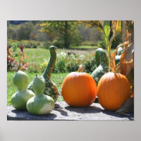 Gourmets Et Ferme Citrouille Stand 2 Automne