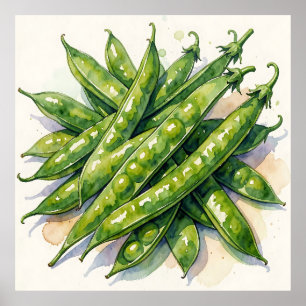 Poster Gousses de pois à l'aquarelle