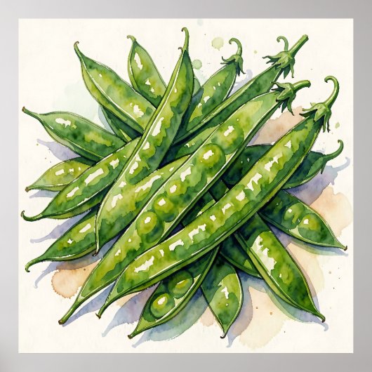 Poster Gousses de pois à l'aquarelle (Devant)