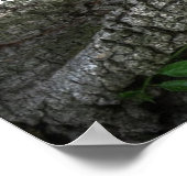 Poster Goûter & Voir La Citation De Bible Inspirante (Coin)