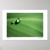 Poster gouttelettes (Devant)