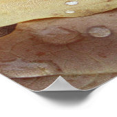 Poster gouttes (Coin)
