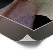 Poster Gouttes de pluie (Coin)