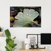 Poster Gouttes de pluie (Bureau à domicile)