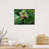 Poster gouttes de pluie (Cuisine)