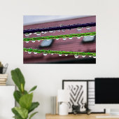 Poster Gouttes de pluie sur des cordes (Bureau à domicile)