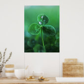 Poster Gouttes de pluie sur feuilles de trèfle vert Macro (Cuisine)