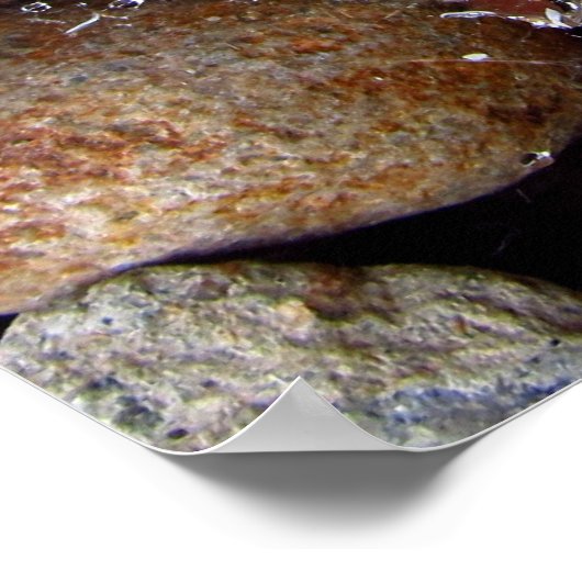 Poster - gouttes de pluie sur toile d'araignée sur (Coin)