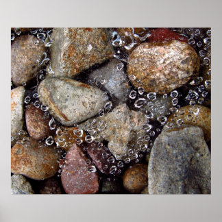 Poster - gouttes de pluie sur toile d'araignée sur