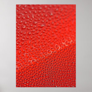 Poster Gouttes de rosée du matin