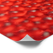 Poster Gouttes de rosée matinale (Coin)