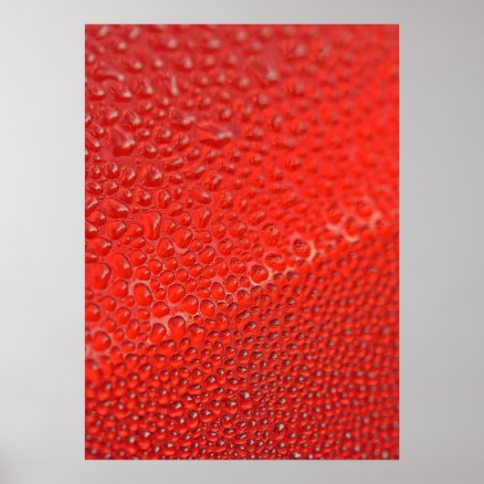 Poster Gouttes de rosée matinale (Devant)