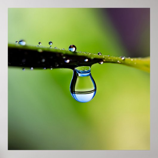 Poster Gouttes d'eau de macro (Devant)