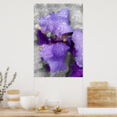 Poster gouttes d'eau sur iris (Cuisine)