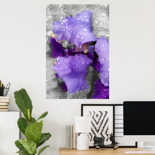 Poster gouttes d'eau sur iris (Bureau à domicile)