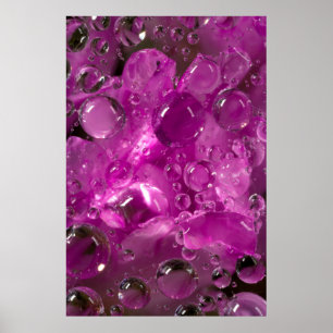 Poster Gouttes d'eau sur une fleur, Californie