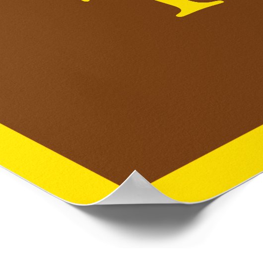 Poster Government Accountable (Coin)