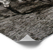 Poster Goya - Bull (Coin)