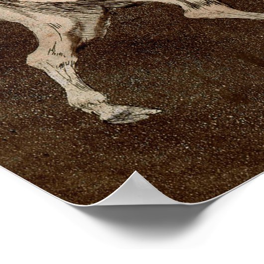 Poster Goya - Foolishness Of Fools 1823 (Coin)