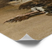 Poster Goya - Oiseau mort 1808 (Coin)